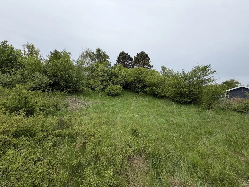 Aed - Vacation Plot in Knebel, Syddjurs