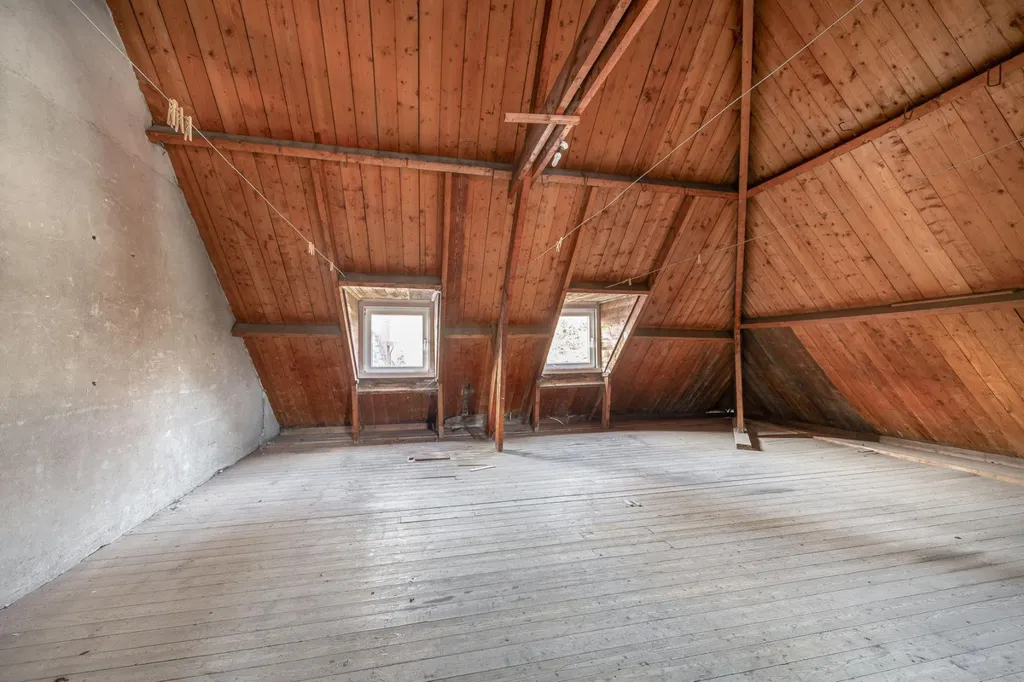 Toad - Spacious Attic Flat with Terrace in Tegelen
