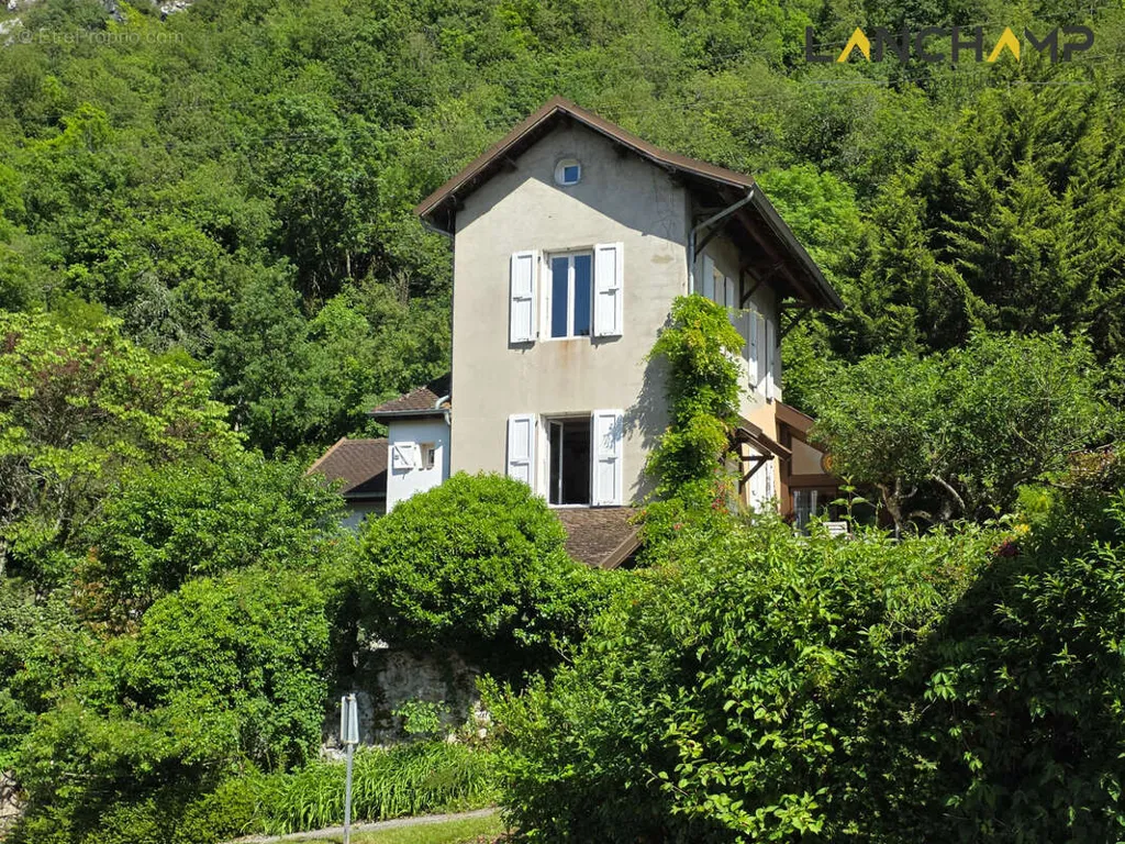 facade