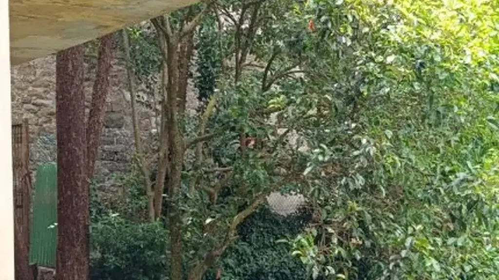 Giardino - Panoramic Apartment with Garden in Settignano, Florence