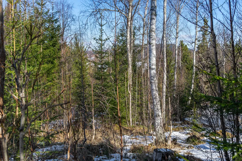 Giardino - Scenic Plot with Lake View in Sandviken