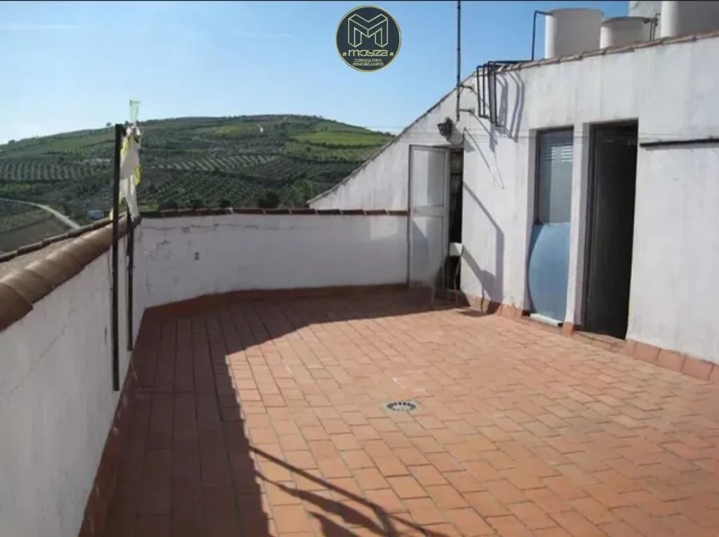 Terrass - Spacious Flat with Terrace in Baena