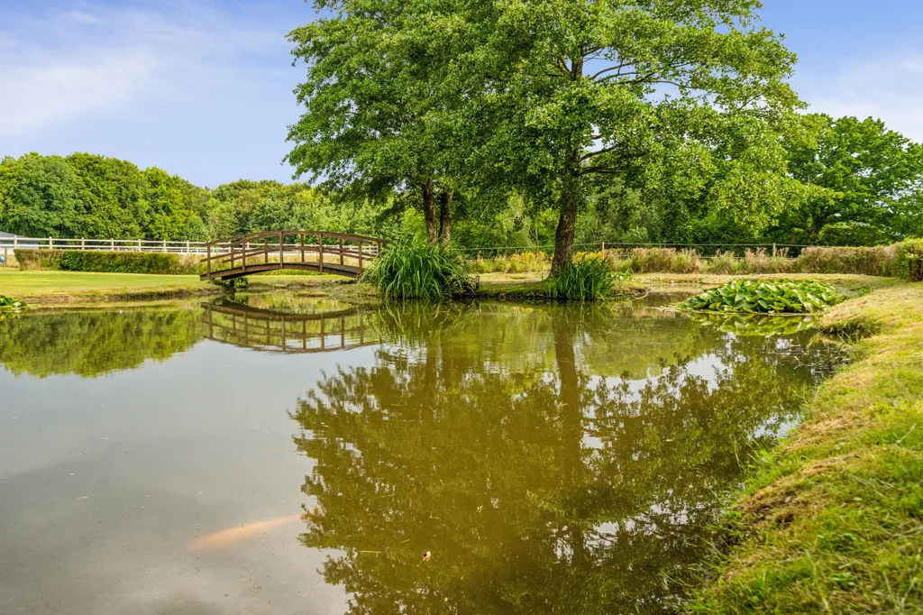 Jardin - Equestrian Estate with Spa in Vinding