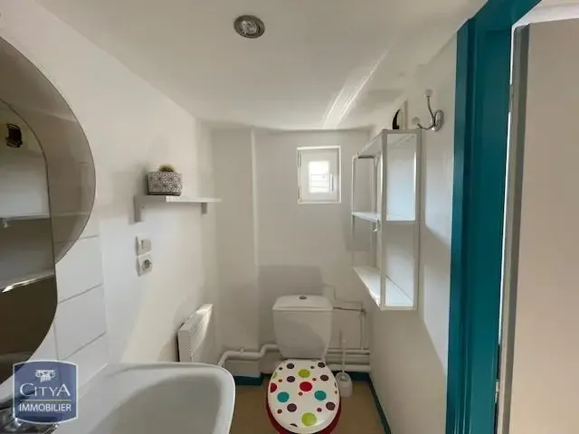 Vannitoad - Furnished Studio Flat in Strasbourg Centre