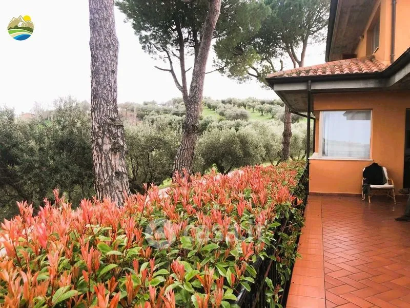 Terrasse - Panoramic Villa with Private Park in Notaresco