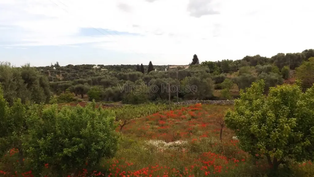 Garden - Typical Trulli House in Ostuni