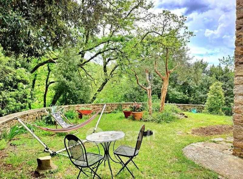 Jardin - Rustic Farmhouse with Olive Grove in Pontassieve