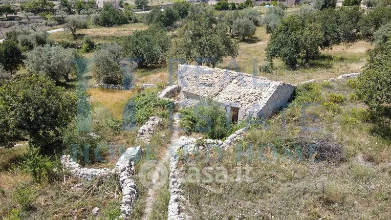Aerial - Rustic Cottage with Olive Grove in Modica