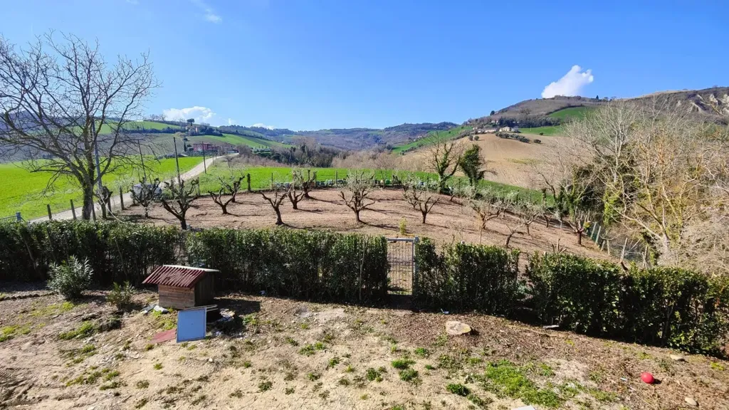 Jardin - Rustic House with Garden in Castignano
