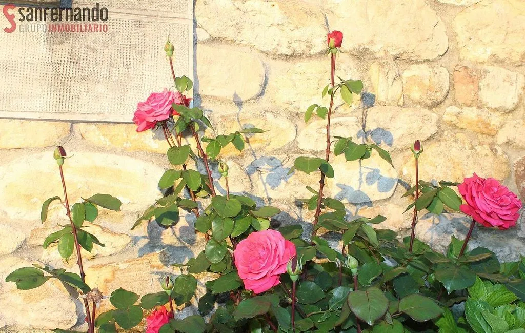 Jardin - Luxury Hotel with Traditional Architecture in Mazcuerras
