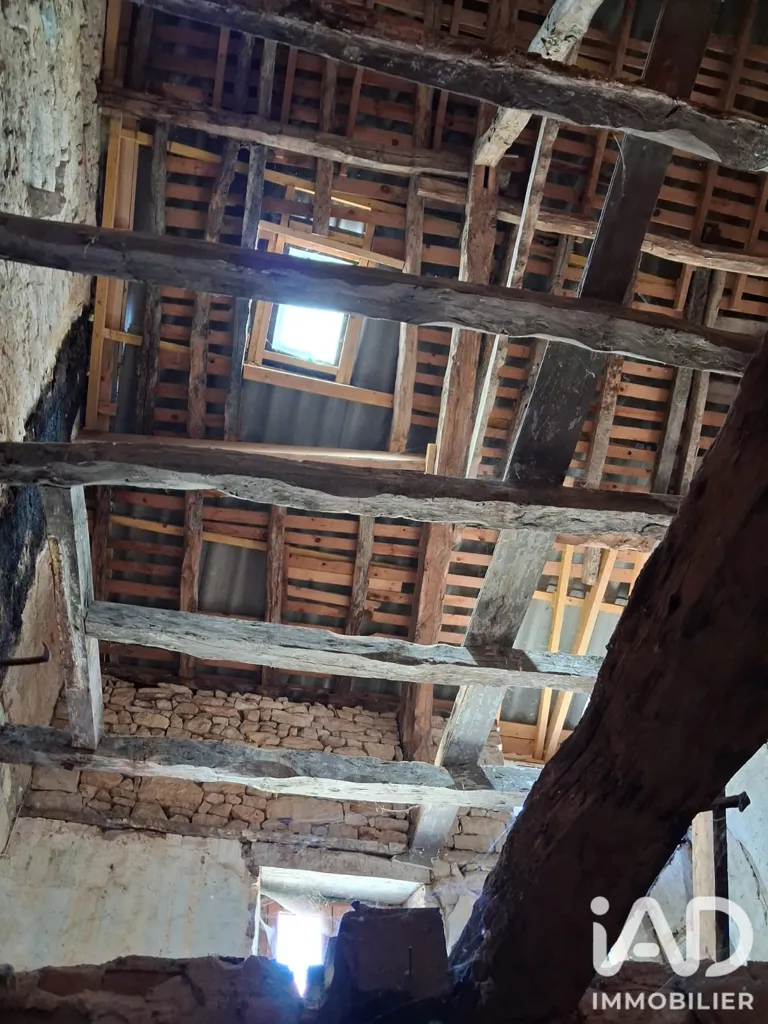 Toad - Village House for Renovation in Cazals