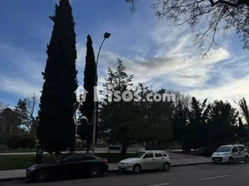 Spacious Apartment with Terrace in El Torreón