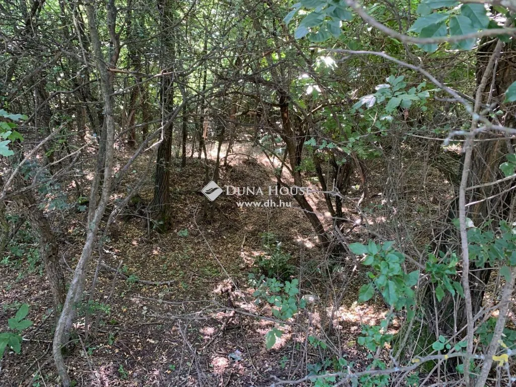Giardino - Divisible Holiday Plot with Views in Pákozd