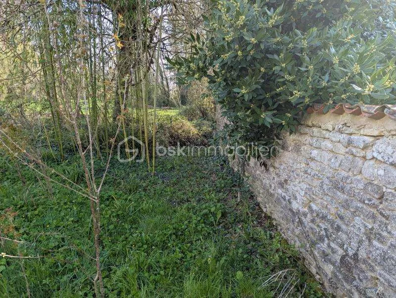 Jardin - Maison à Rénover avec Terrain à la Campagne
