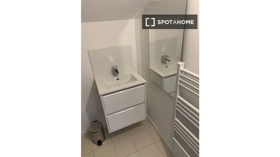 Salles de bain - Chambre à Louer dans Appartement 3 Pièces à Paris