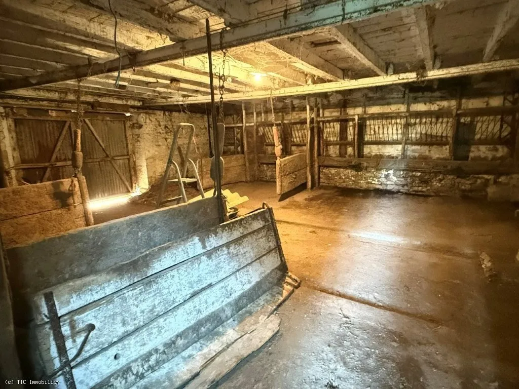 cellar