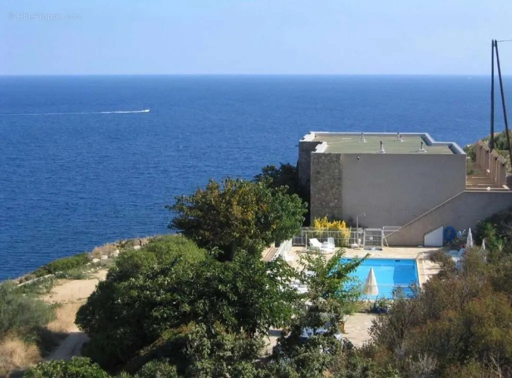 Piscine - Villa sur le toit avec piscine à Île-Rousse