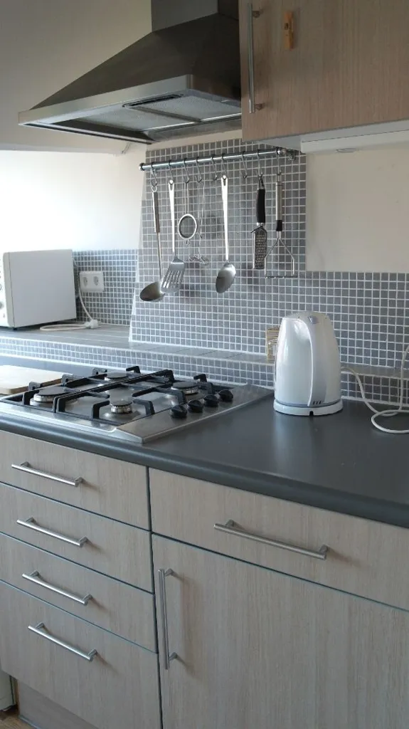 Köök - Gemeubileerd Flat with Park Access in Eindhoven