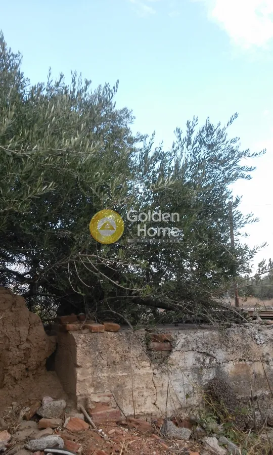 Aed - Plot with Existing Building in Aspropyrgos Centre