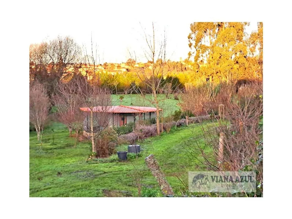 Aed - Historic Manor with Garden in Vila de Punhe