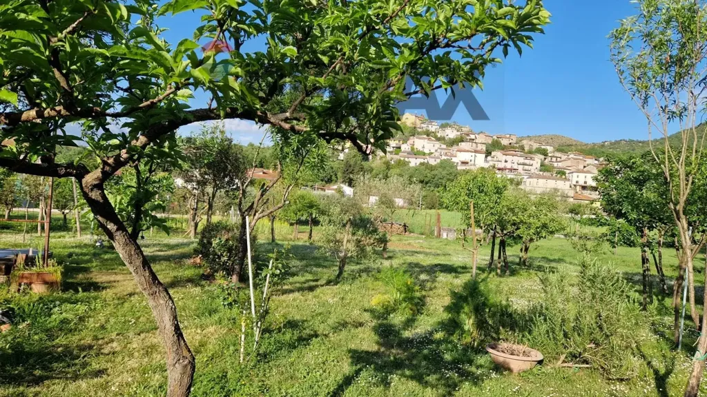 Giardino - Rustic Villa with Garden in Monticelli, Esperia