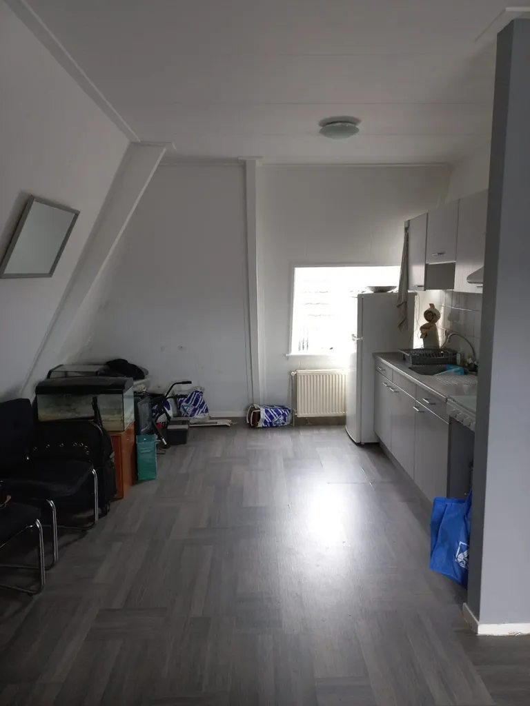 Cuisine - Studio with Recent Renovations in Winterswijk