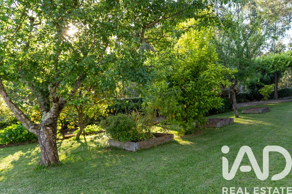 Jardin - Renovated Villa with Pool in Minho