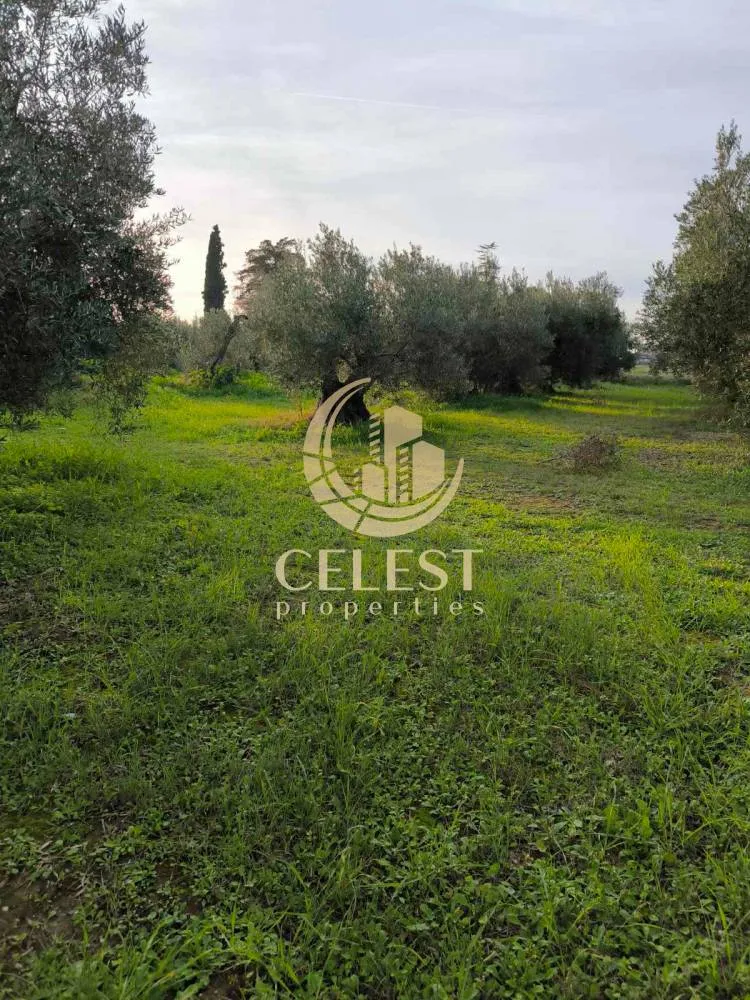 Giardino - Corner Plot with View in Polygyros