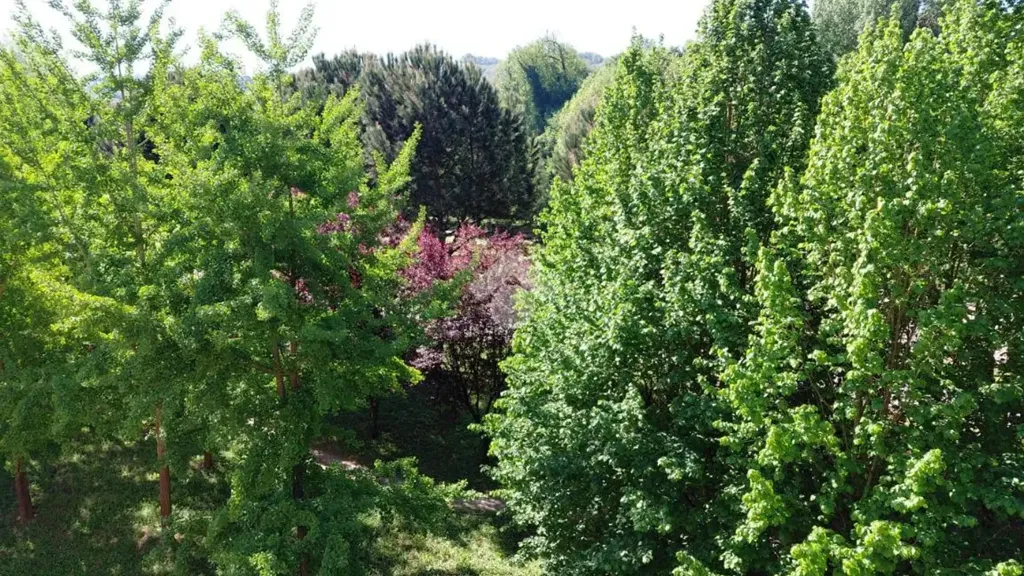 Aed - Post-Terrace Apartment near Avellino