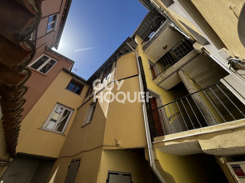 Giardino - Traversant Flat with Triple Exposure in Lyon 4