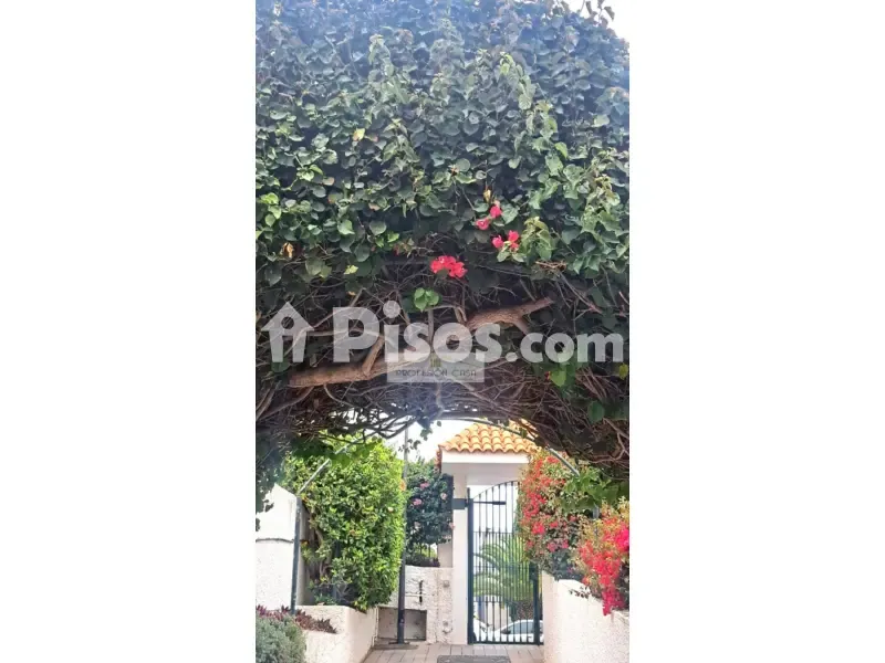 Jardin - Duplex with Terrace in Puerto de la Cruz
