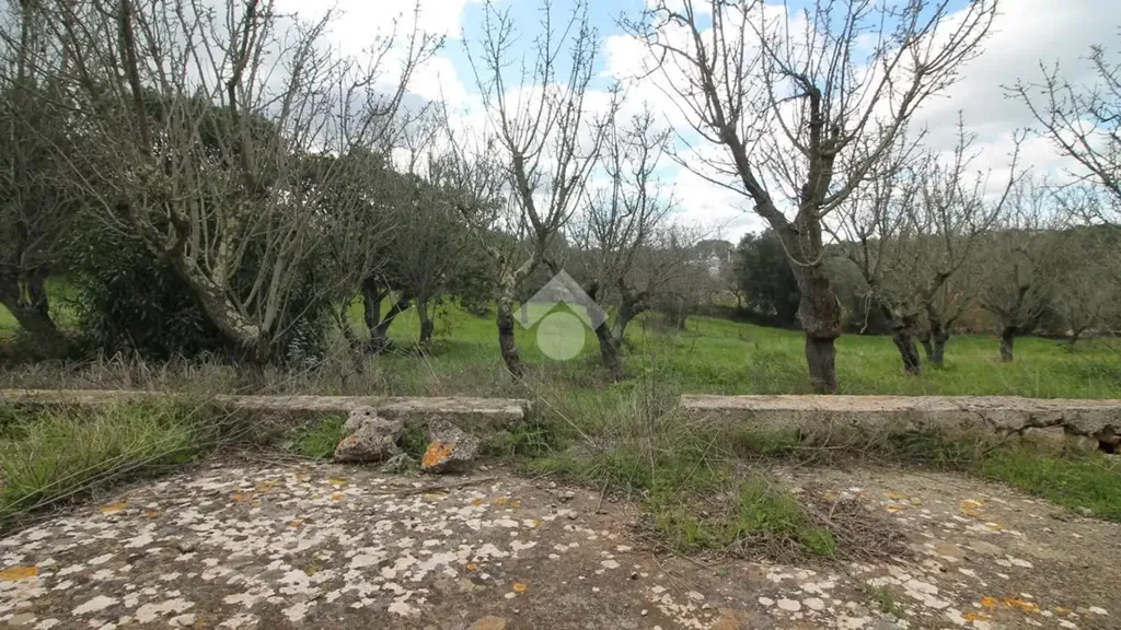 Jardin - Restoration-Ready Trullo with Land in Ostuni