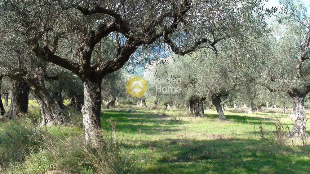Jardin - Agricultural Plot with Castle View in Mystra