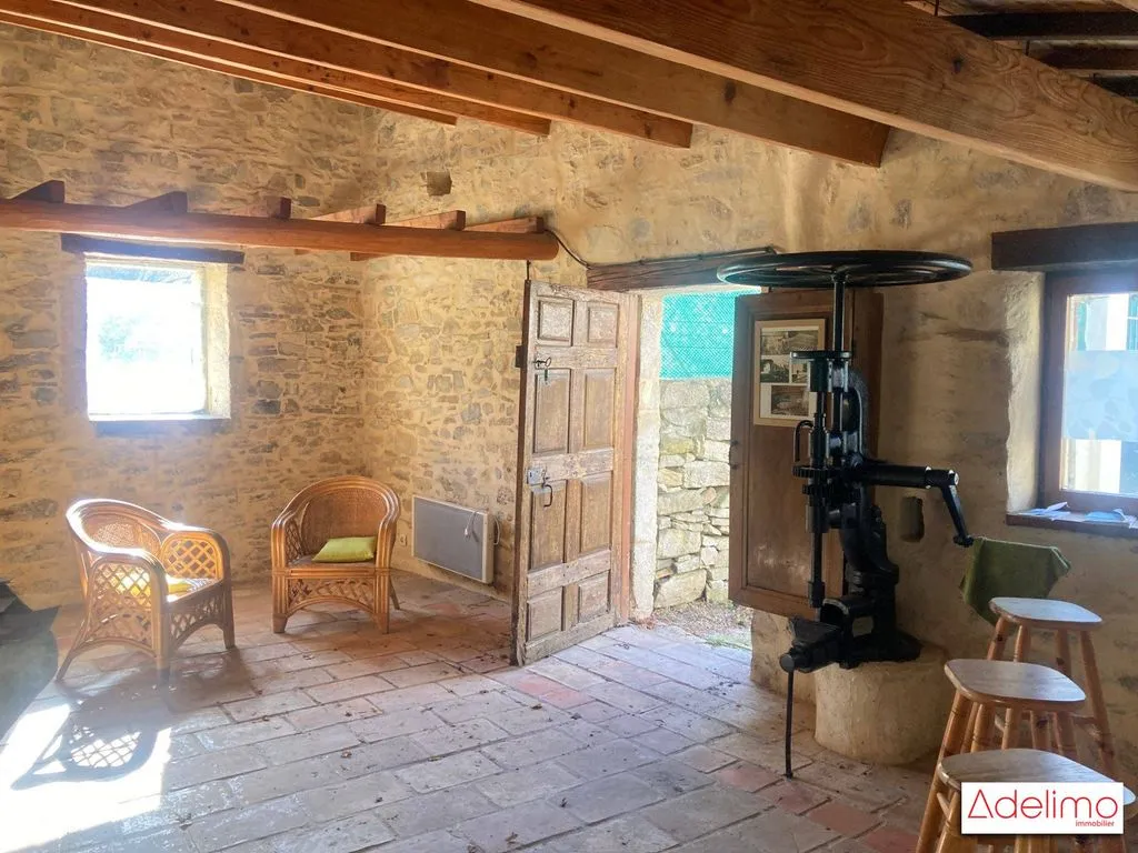 Toad - Historic Mas with Pool near Nîmes