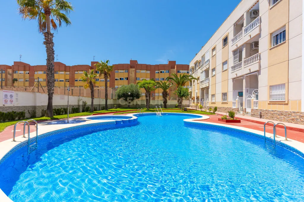 Piscine - Reform Studio with Pool in Torrevieja