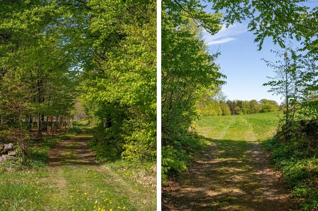 Jardin - Charming Farm with Woodland near Hjärnarp