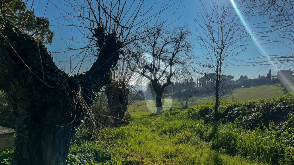 Aed - Rustic House with Private Garden in Jesi