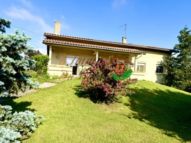 Välivaade - Villa with Garden and Terrace in Chanas