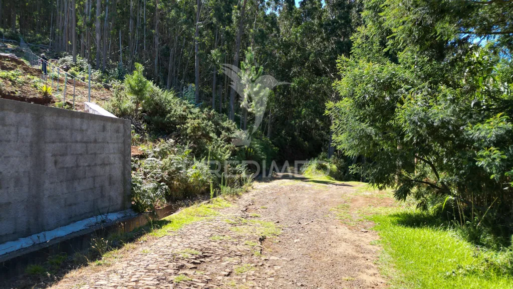 Jardin - Terrain à Santa Cruz