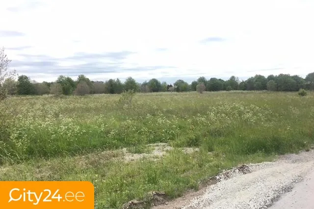 Aed - Agricultural Land in Suurupi Village