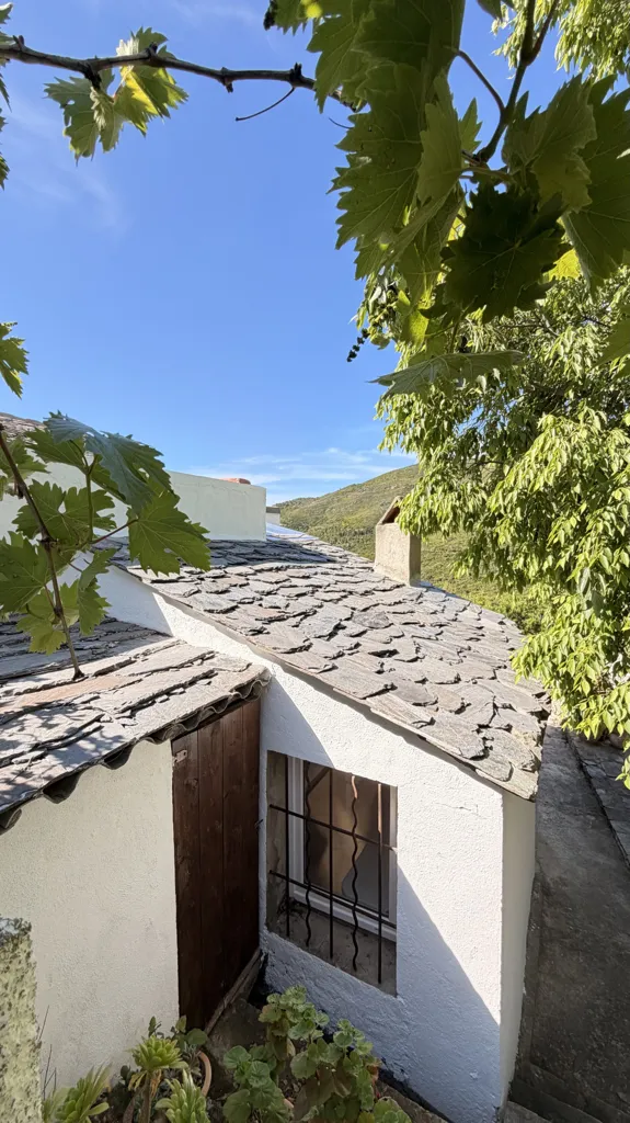 Extérieur - Maison de Village avec Jacuzzi à Barbaggio