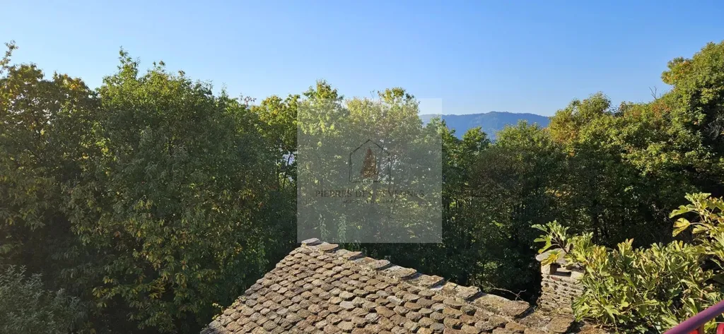 Terrasse - Mas Cévenol avec Piscine et Vue Dégagée