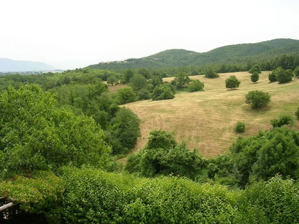Jardin - Renovated Farmhouse with Panoramic View in Amelia
