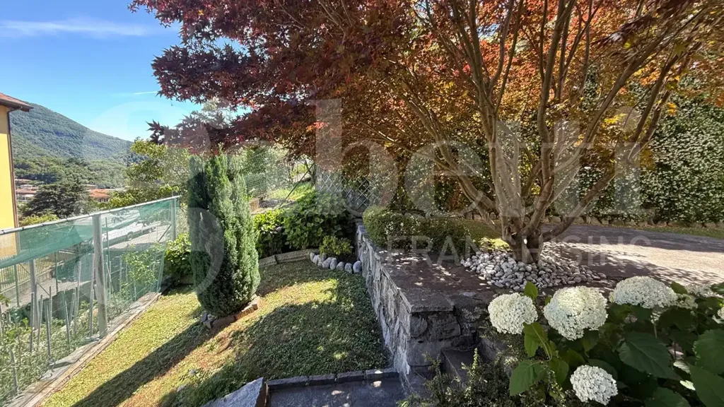 Giardino - Panoramic Villa with Garden in Asso (CO)