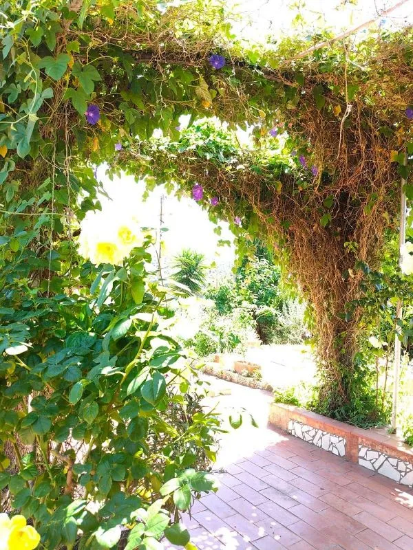 Jardin - Rustic House with Pool in Olesa de Montserrat