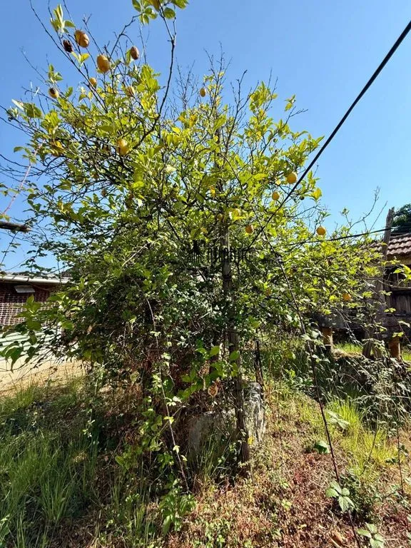 Aed - Development Land with Hórreo in Vigo