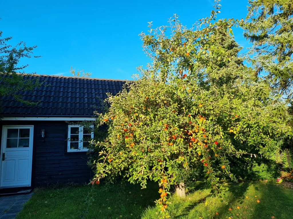 Extérieur - Family Villa with Balcony in Dragør