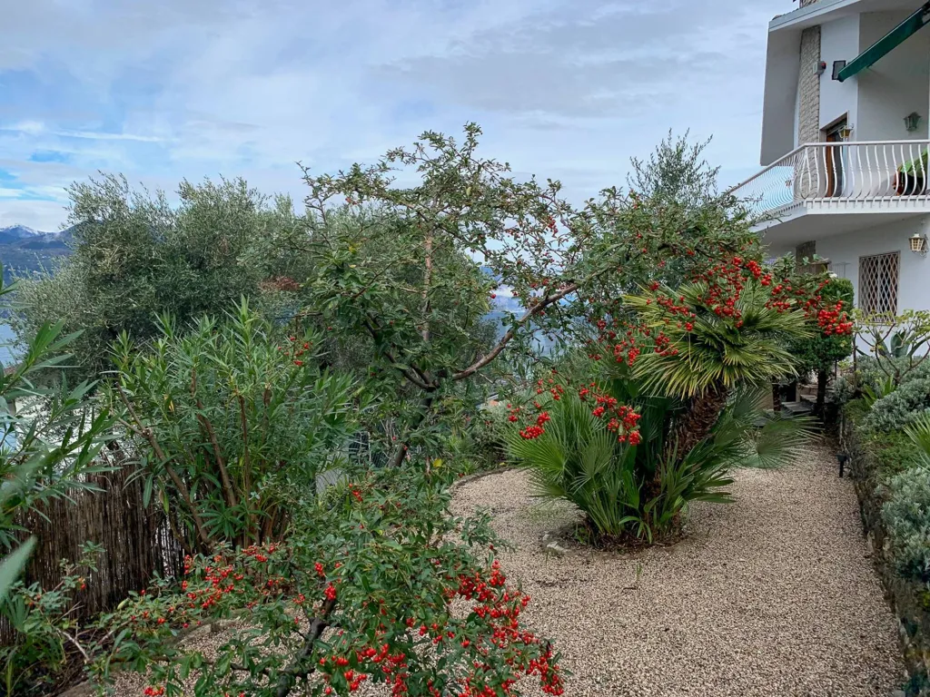 Giardino - Villa with Panoramic Lake View in Brenzone