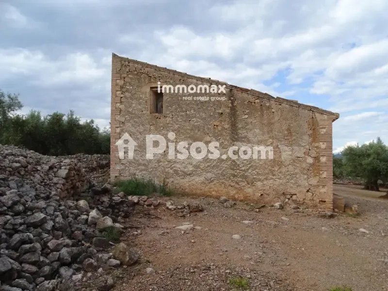 Välivaade - Rustic Farm with Olive Grove in Xerta