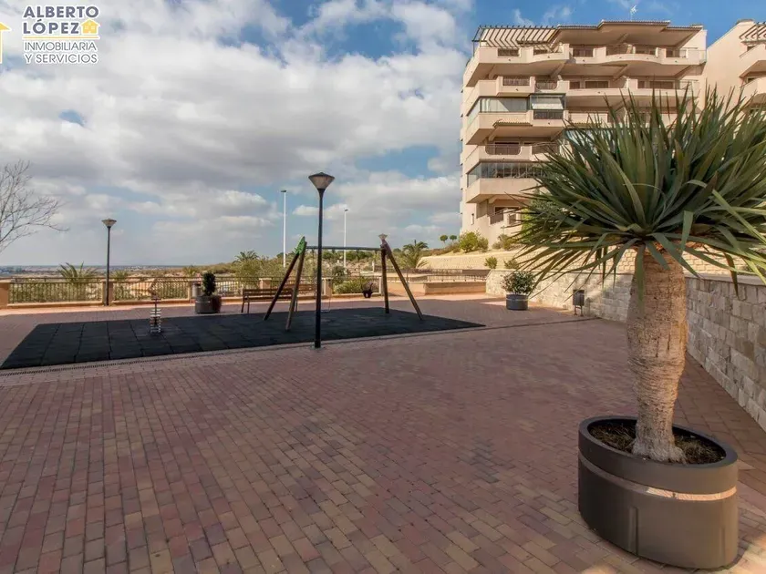 Jardin - Apartment with Pool in Arenales del Sol, Elx